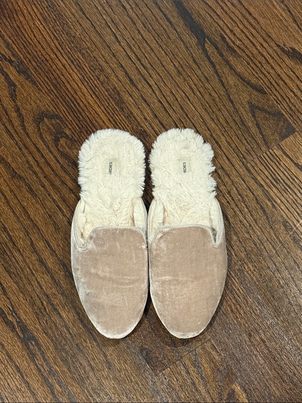 Birdies Velvet Slide Slippers in Beige Cream